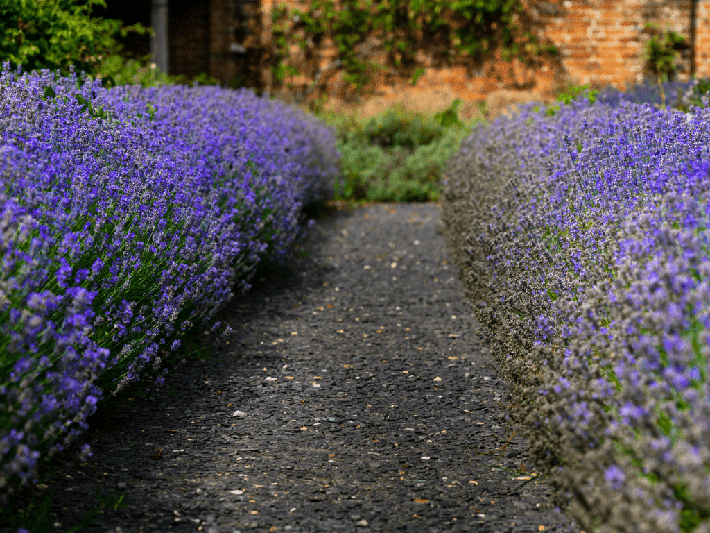 jardines sostenibles